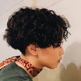 素色樹