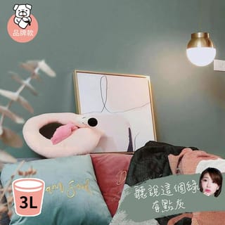 品牌款 聽說這個綠有點灰(3公升)