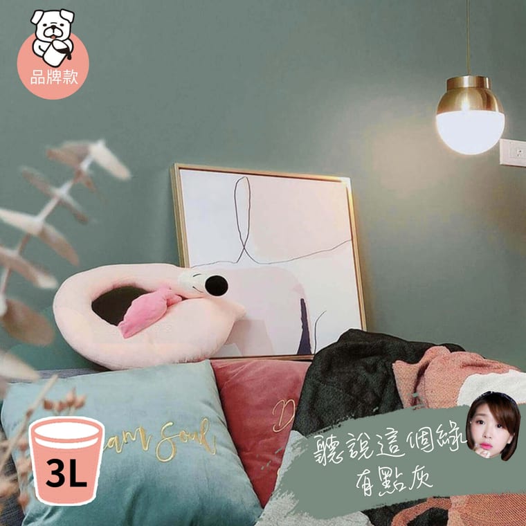 品牌款 聽說這個綠有點灰(3公升)
