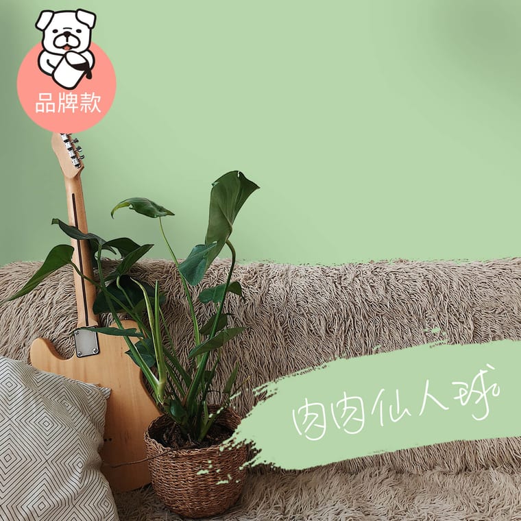 品牌款 肉肉仙人球