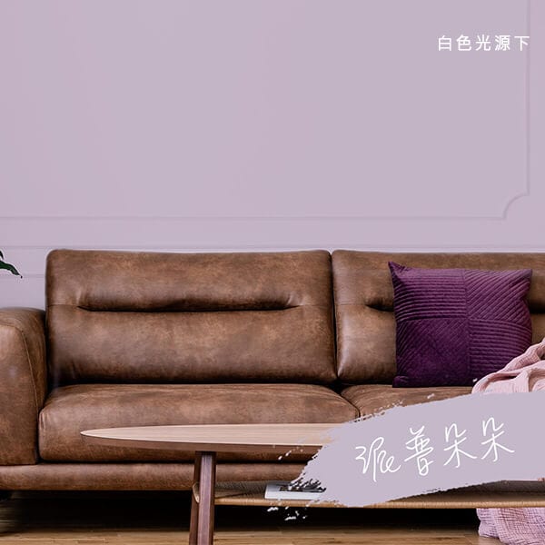 派普朵朵