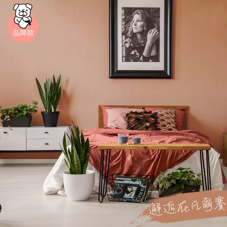品牌款 邂逅在凡爾賽