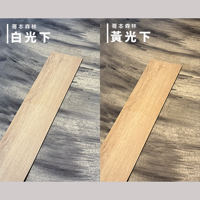 哥本森林實拍