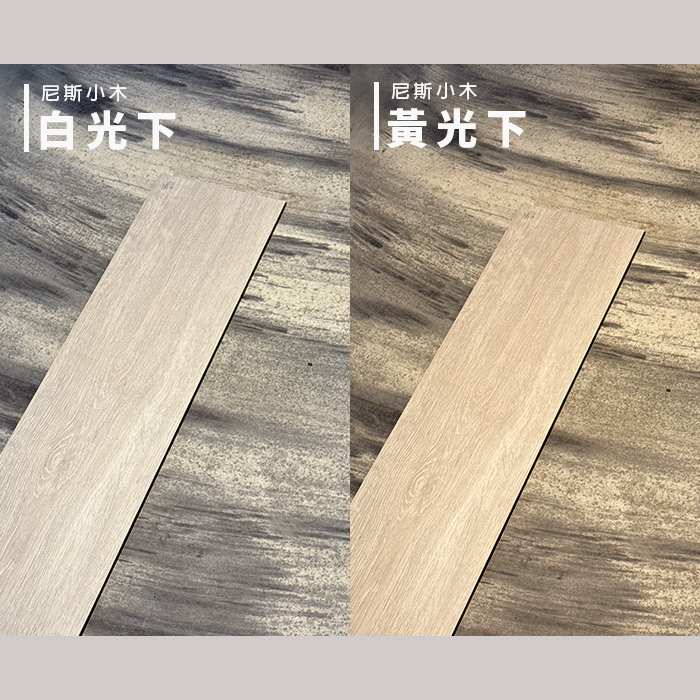 尼斯小木實拍