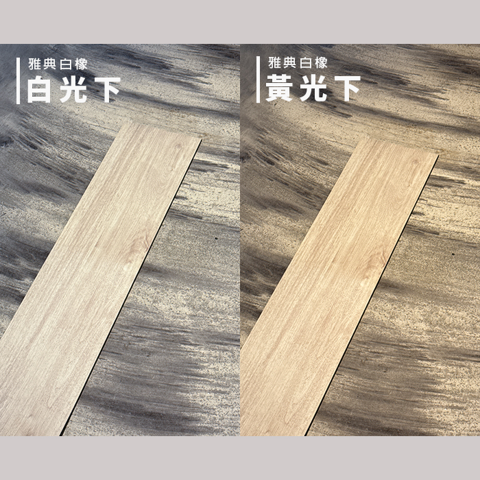 雅典白橡實拍