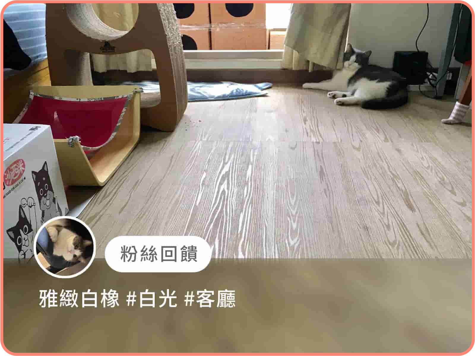 雅緻白橡｜歐巴地板