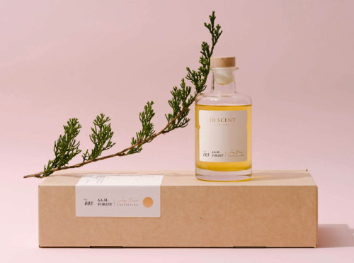 療癒香氛JD SCENT推清新春季新香調 彷彿置身森林呼吸芬多精