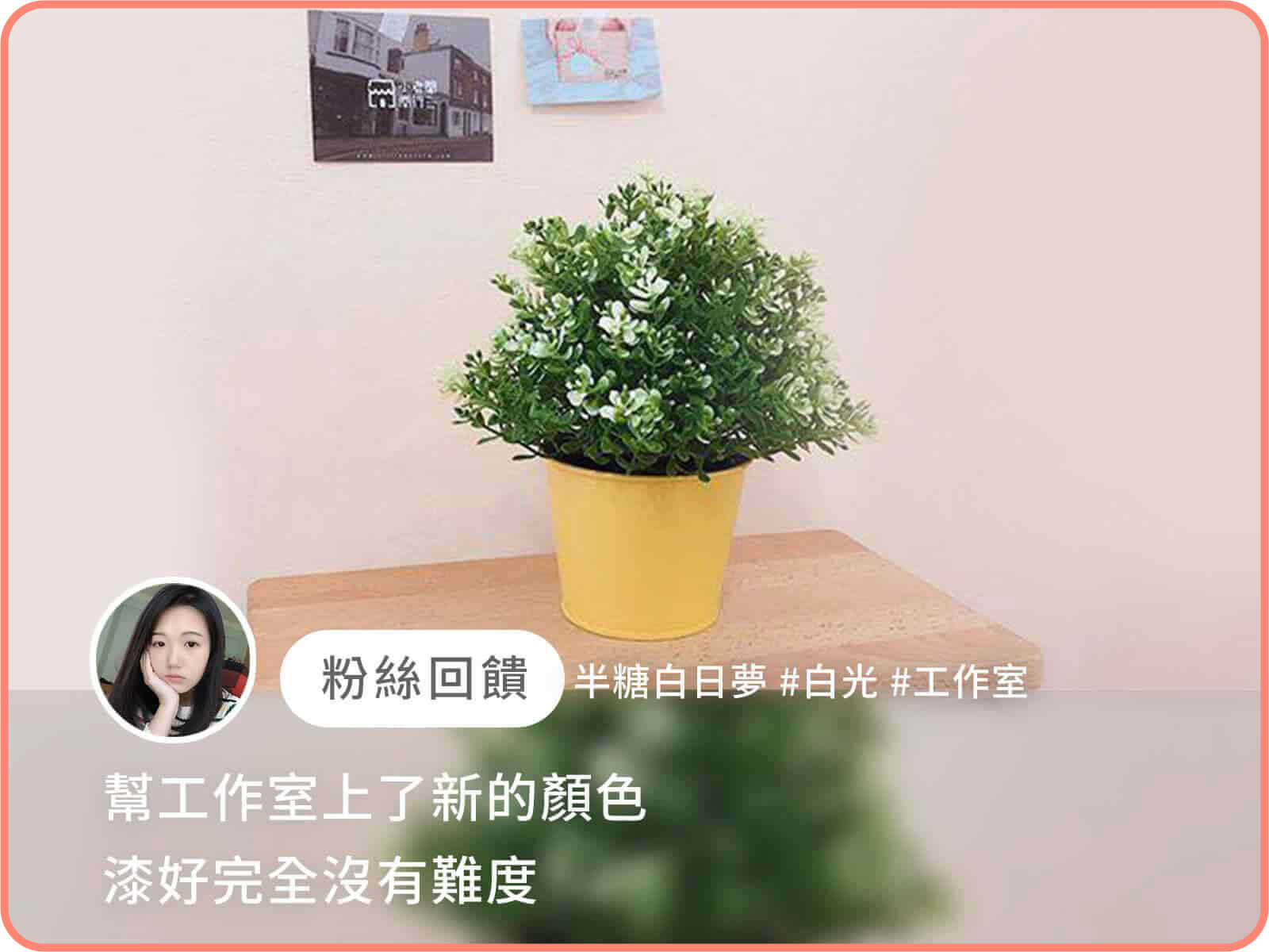 半糖白日夢｜dH精選乳膠漆