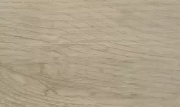 哥本森林