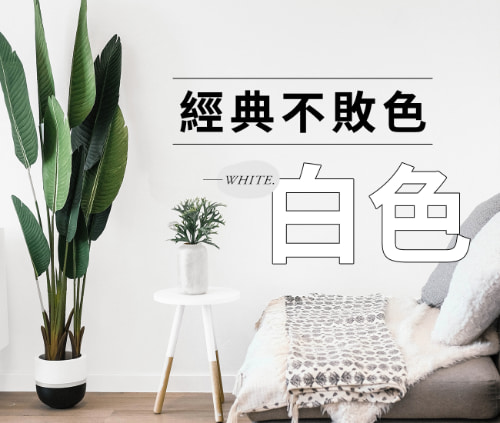經典不敗色！多種「白色」讓你知！