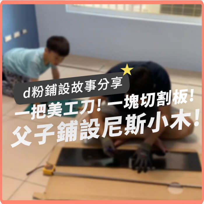 尼斯小木