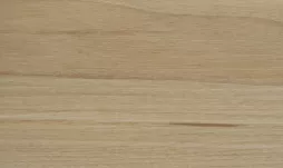 尼西亞柚木