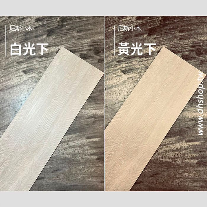 尼斯小木
