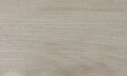 雅典白橡