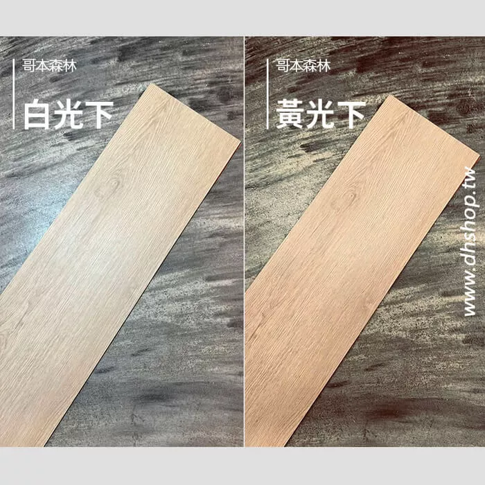 哥本森林
