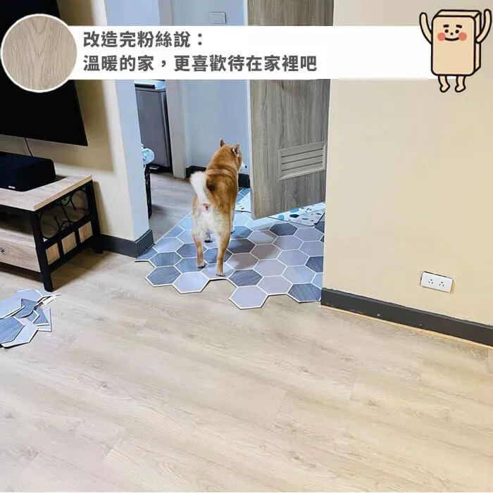 哥本森林