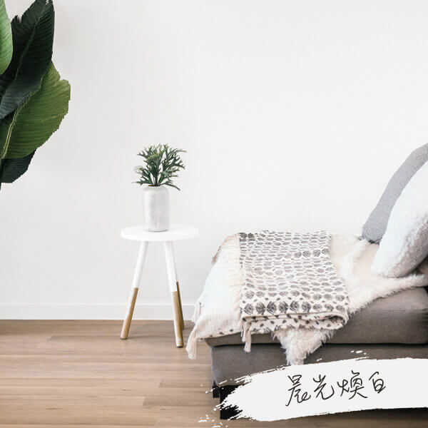 [包子梅子推薦]晨光煥白