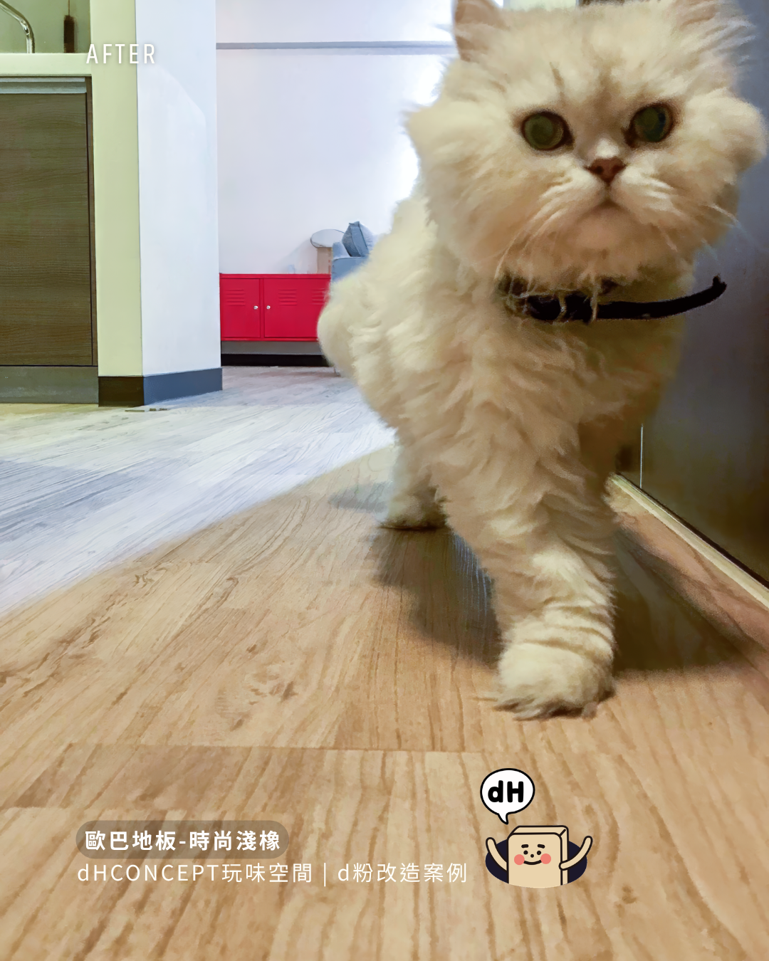 時尚淺橡｜租屋族的秘密武器：搬家帶走，押金全拿回