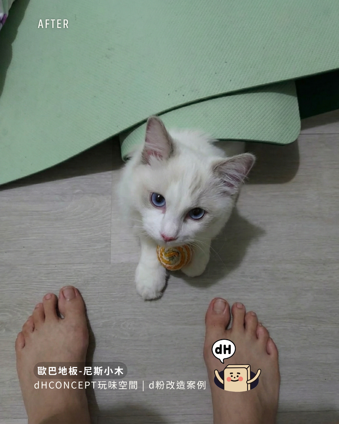 尼斯小木｜12坪換地板，空間感覺大了一倍
