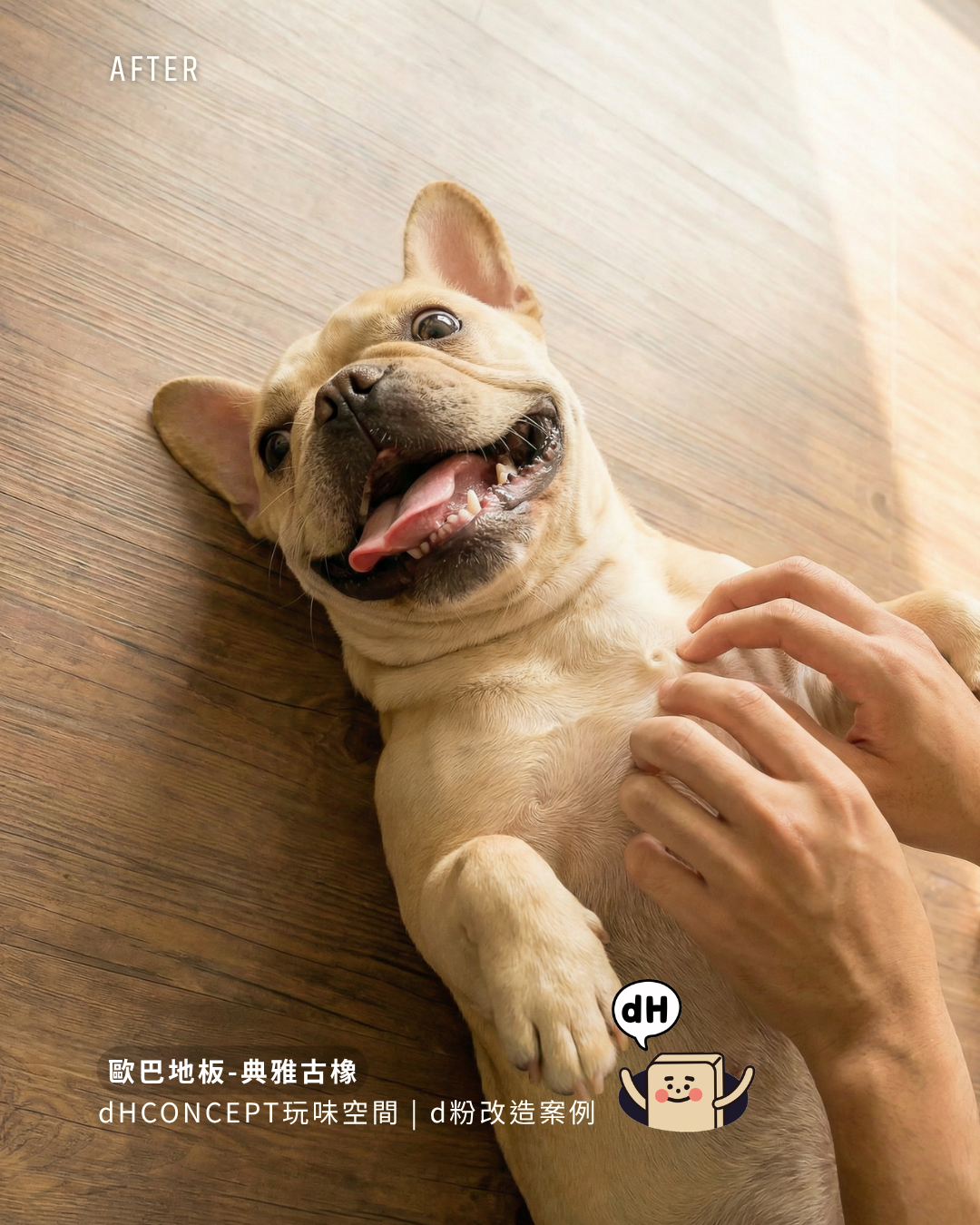 典雅古橡｜租屋族的秘密武器：搬家時完整帶走，押金一毛不少