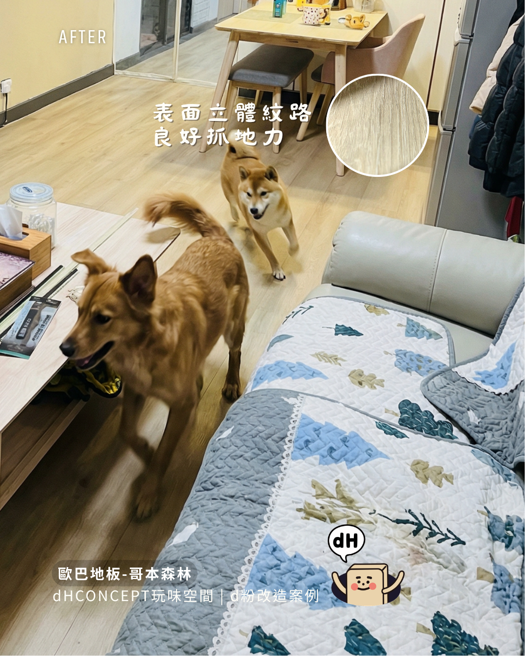哥本森林｜三隻貓的家，地板還是好好的