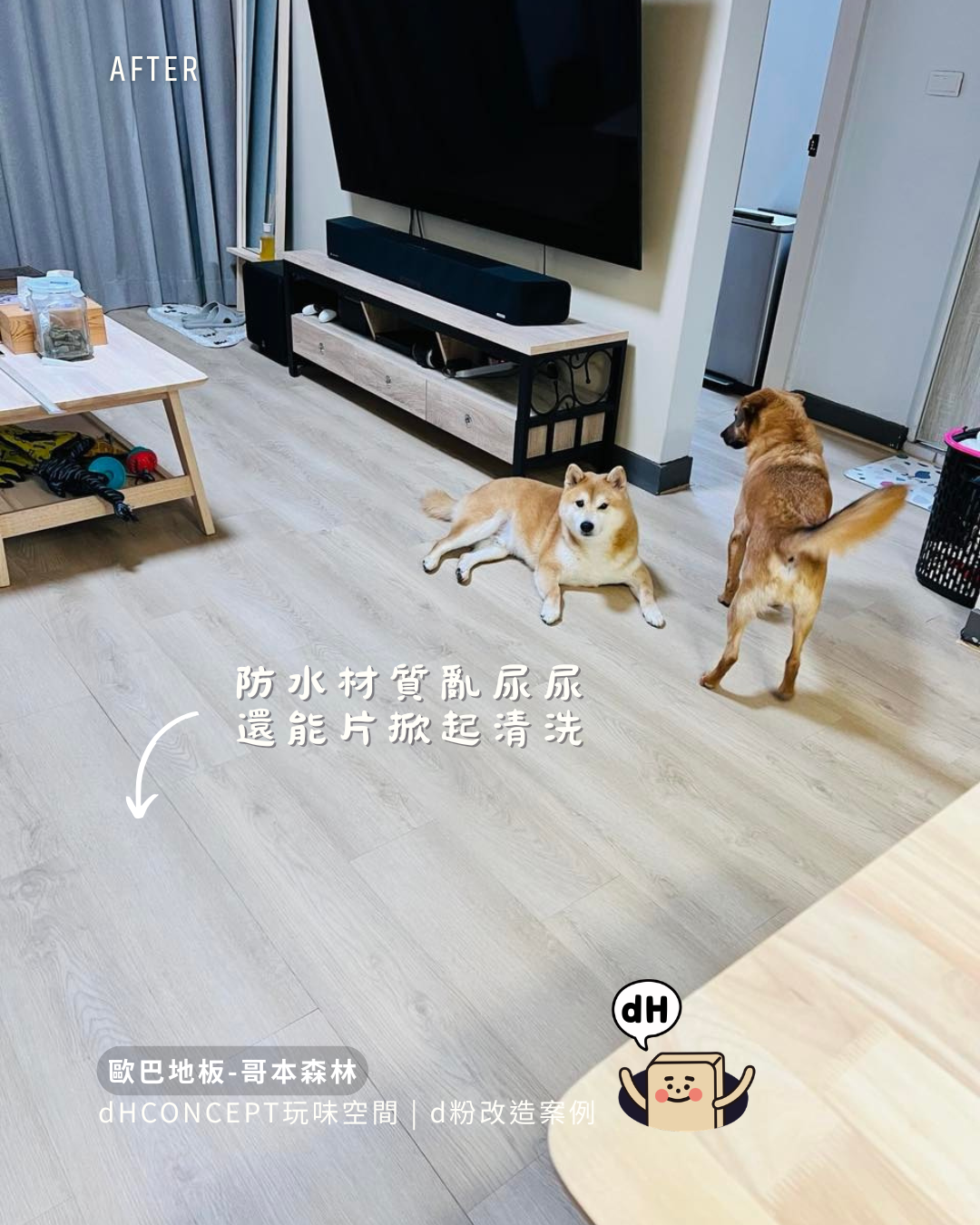 哥本森林｜三隻貓的家，地板還是好好的