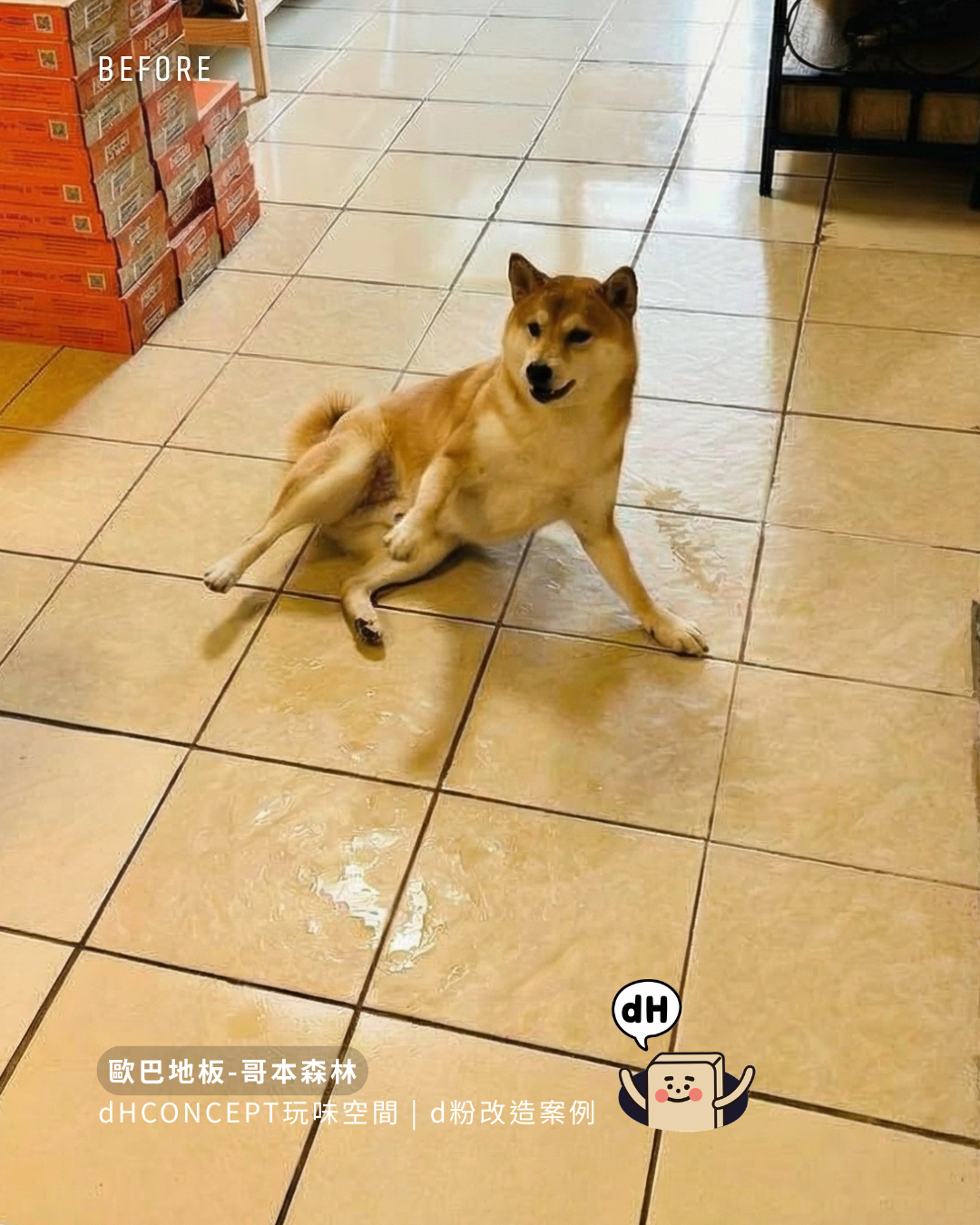 哥本森林｜三隻貓的家，地板還是好好的
