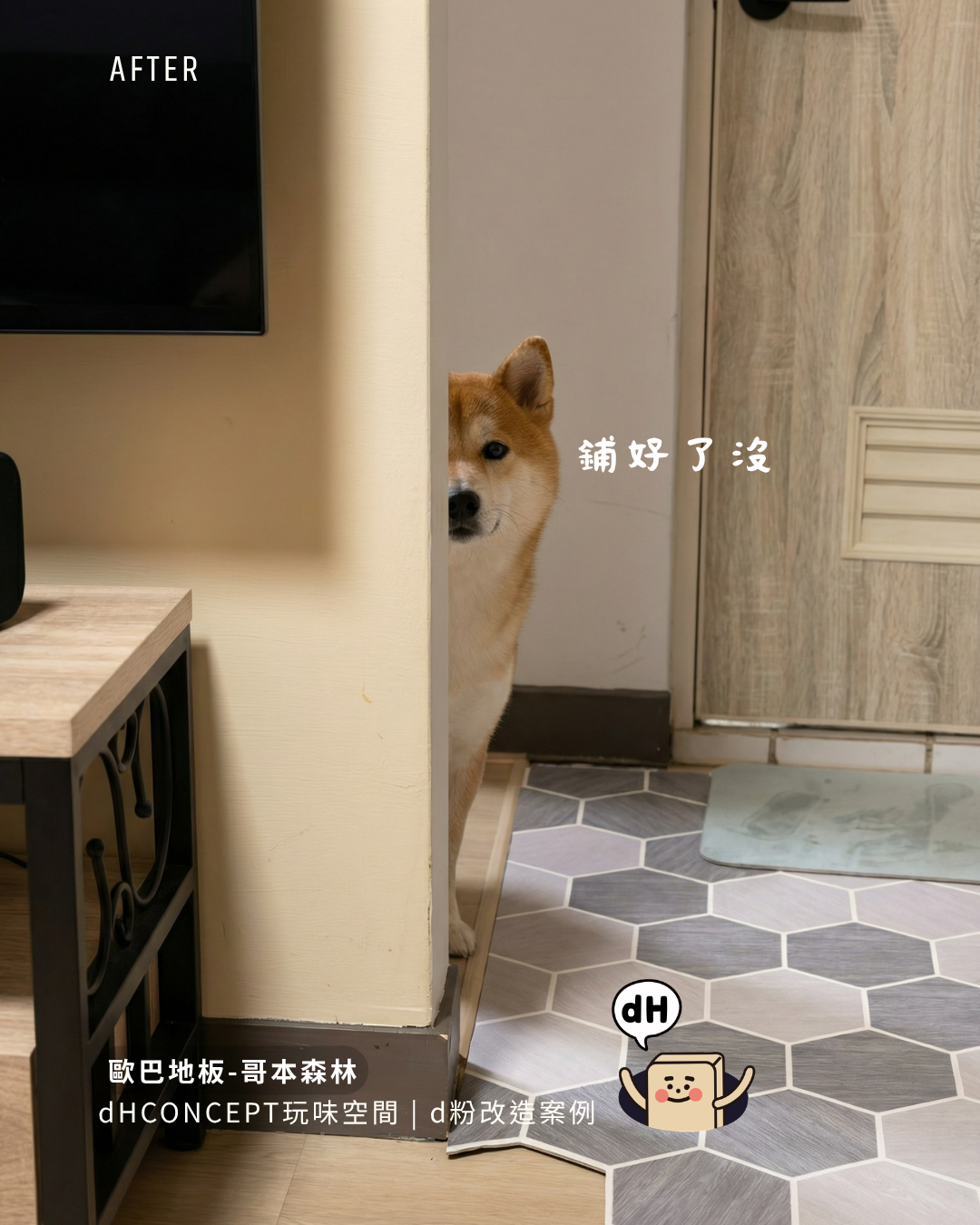 哥本森林｜三隻貓的家，地板還是好好的