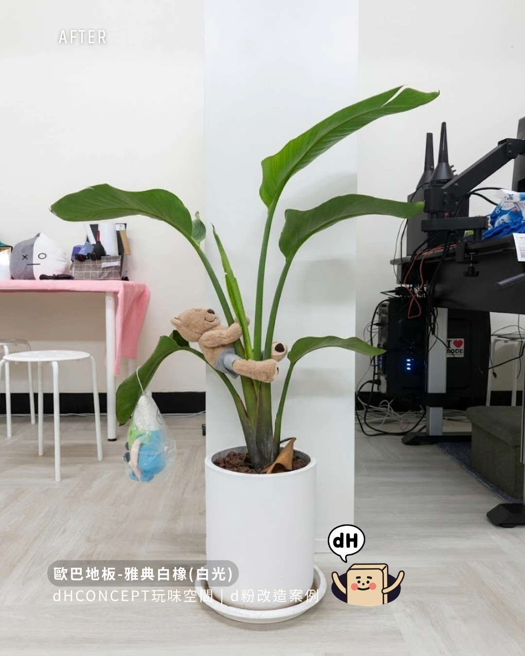 雅典白橡｜12坪老屋翻身，地板一換空間大了一倍