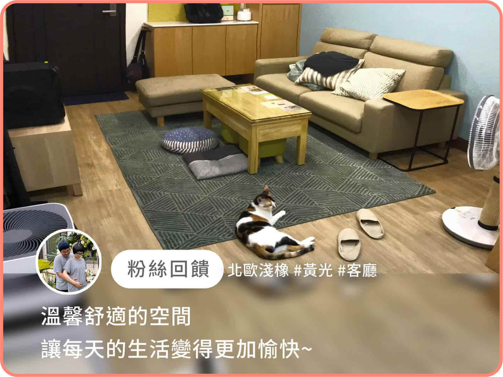 有寵物案例 3