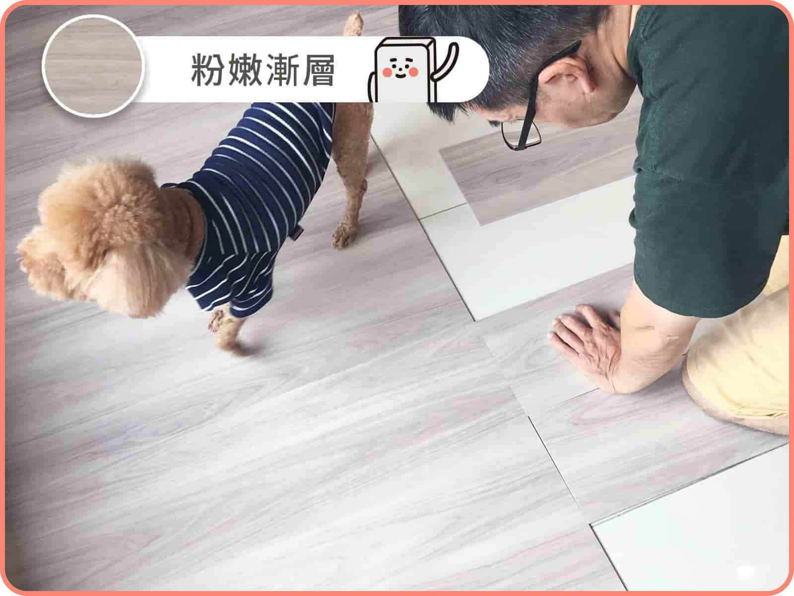 有寵物案例 7